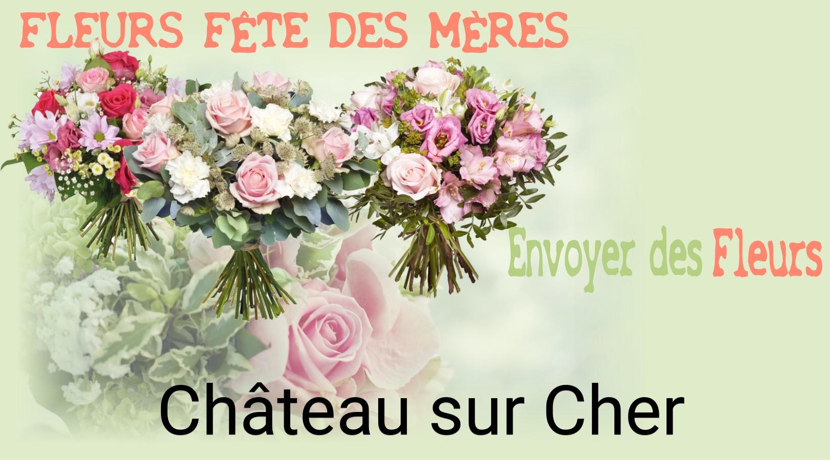 Bouquet de Fête des Mères livré à Château-sur-Cher